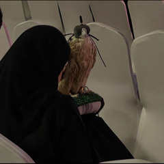 ‏ روان الحويطي .