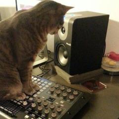 djbraille