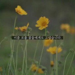 별 버로 가자 적재 Acoustic Cover
