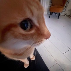 yMew