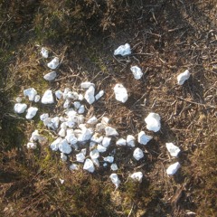 ORGANIC-CELLPHONE AKA RAPSAC