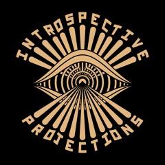 Introspective Projections