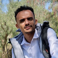 عبدالرؤوف العبسي الركيل