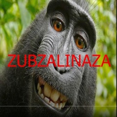 zubzalinaza