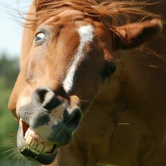 Burb en Mattie Uptempo Special 10