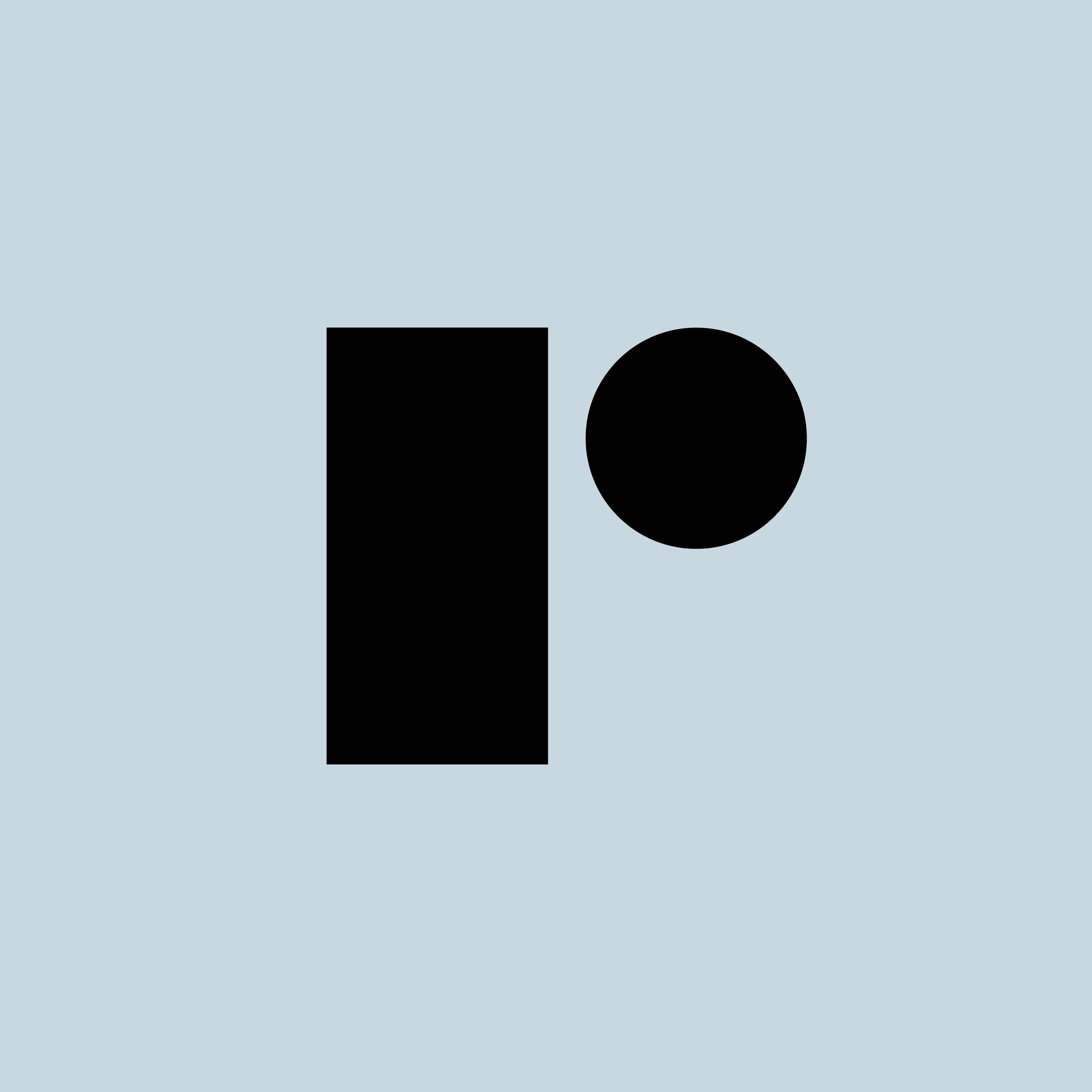 R Talks: Exploring Relational Social Policy
