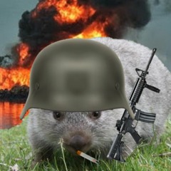 洋楽 Combat Wombat - Unsound System 2LP 洋楽 Combat Wombat - Unsound System 2LP Combat Wombat