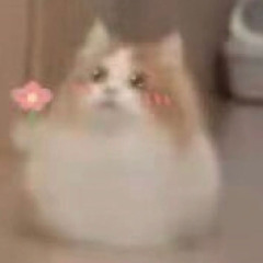 nminh