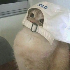 Tống Đôn