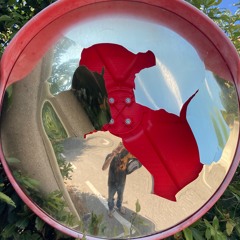 Milo Thesiger-Meacham