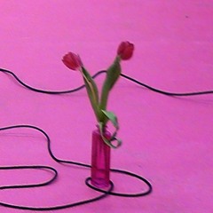 rebecca lynn sprague