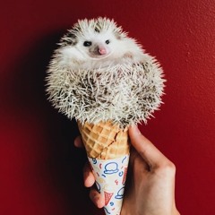 Morozhenka.