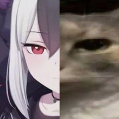 FikzSyb4u