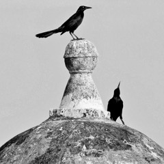 Apuntes de Cartagena