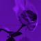 .darkk