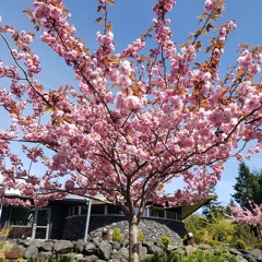 Breanna Lynne Woodward