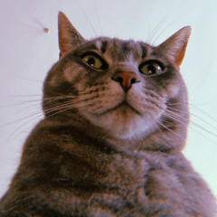binchjuice
