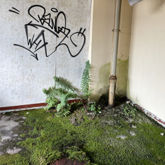 Alte Mukke