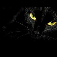COLDWAVE 권수련