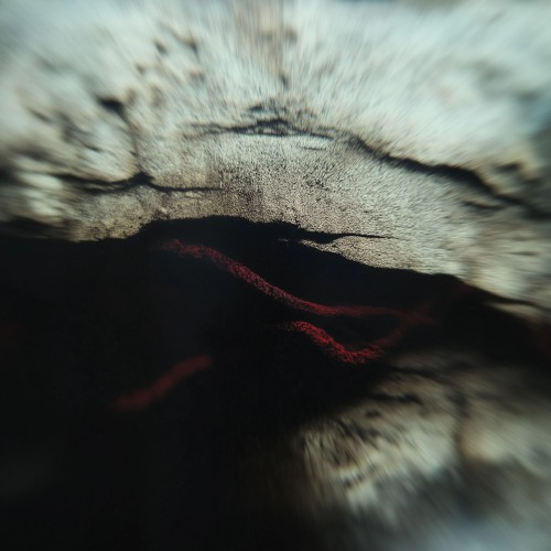 GnOhm - The Overplayed Set
