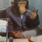 monke man
