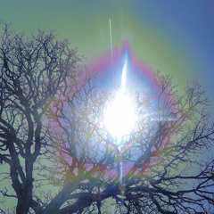 ⚡️Kyle Cleophas⚡️