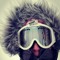 OneTakeOneTime