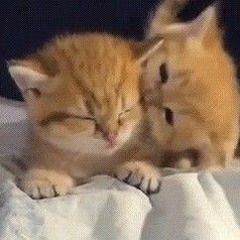 <\3