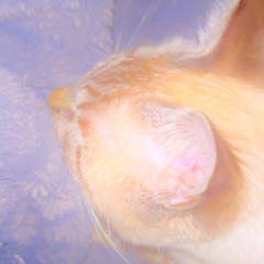 lemafrox
