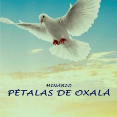 Seara de Luz