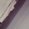 osky.sk8