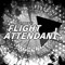 Temporary Flight Attendant 3: Plane To See [MOVED]
