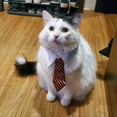 ˓♡⃕𝓢 ː𝐟𝔩𝗼𝘷𝖊𝗹𝙮