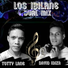 TottylaneDj Ft David Ibiza 🇻🇪😎