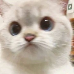 </3