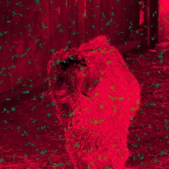 Token Of Appreciation