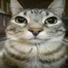 ZEN_cry