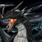 Dark Dragon Studio