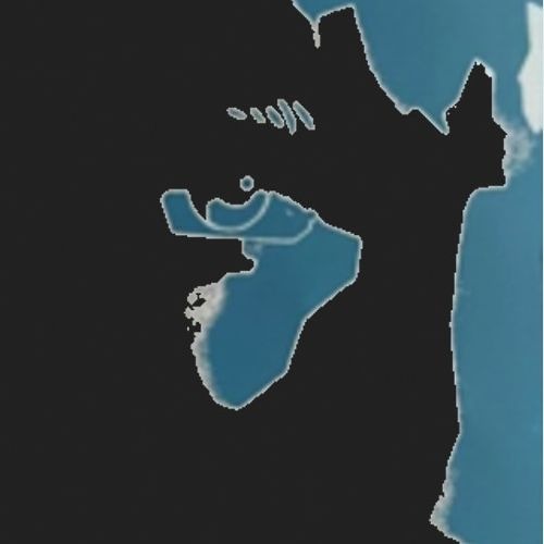 Grutched Chint