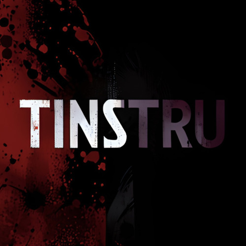 틴스트루 (TINSTRU)’s avatar