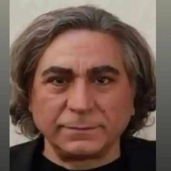 ehsan جی