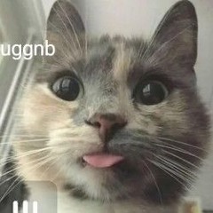 YuStoobie