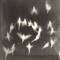 4fairyz