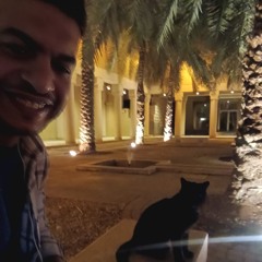 ‫أبو الأنانيس‬‎