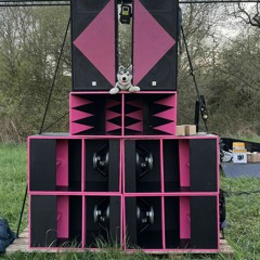 tribe du soir mix