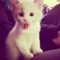 Katie.qo