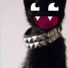 vhllox0
