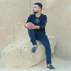 محمد اميري