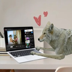 giant realistic flying coyote