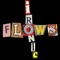 Ironic Flows